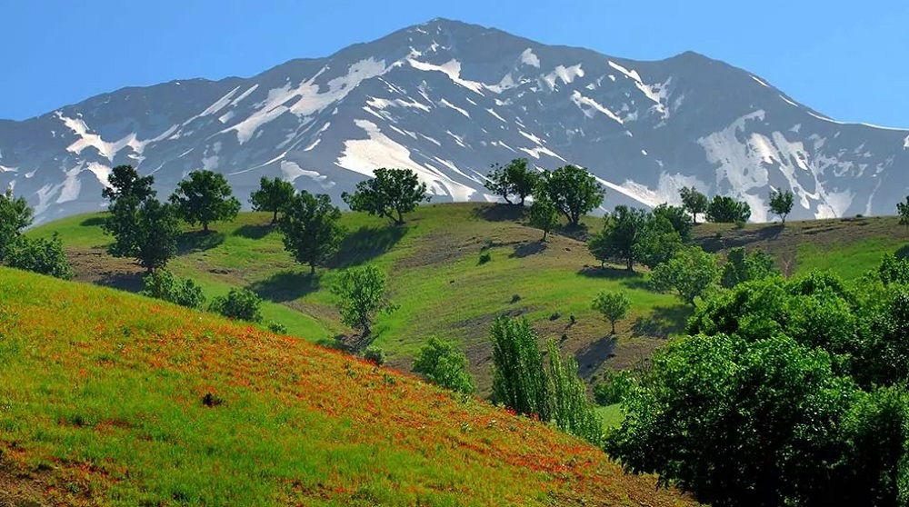 کوهرنگ یکی از شهرستان‌های استان چهار محال و بختیاری است که در فاصله 85 کیلومتری شمال غرب کردستان واقع شده است.