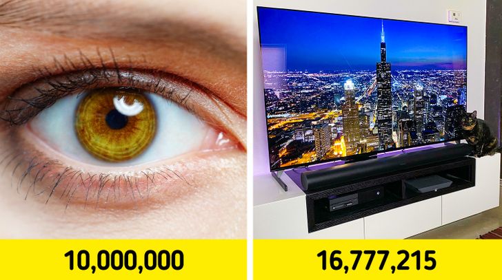 چشمان انسان می تواند تا ۱۰ میلیون رنگ را تشخیص دهد