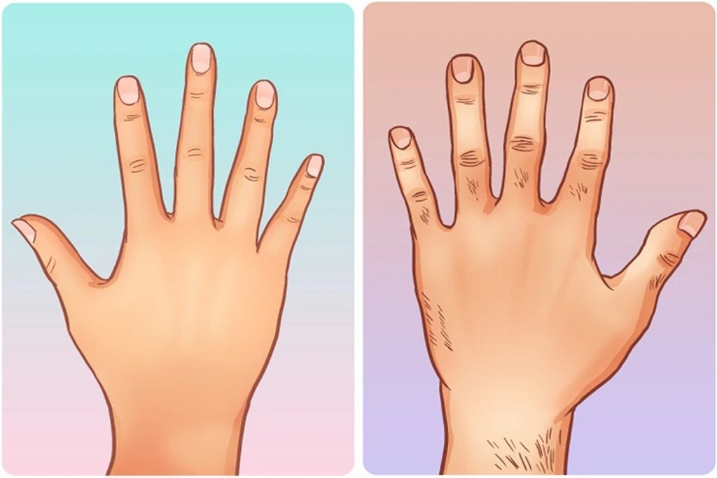 برابری انگشت حلقه با اشاره در خانم‌ها